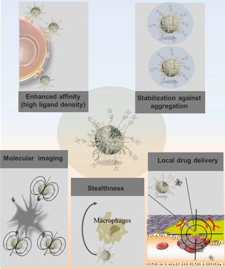 Theranostics Image