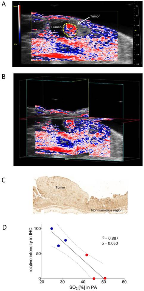 Theranostics Image