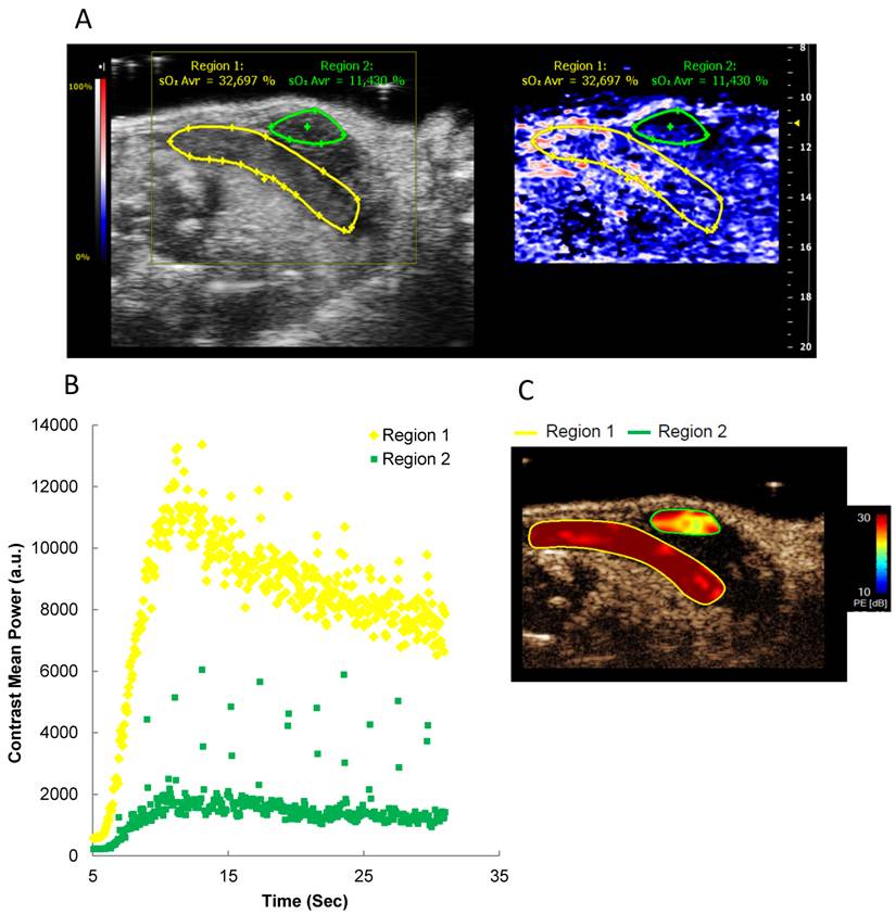 Theranostics Image