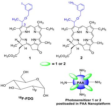 Theranostics Image