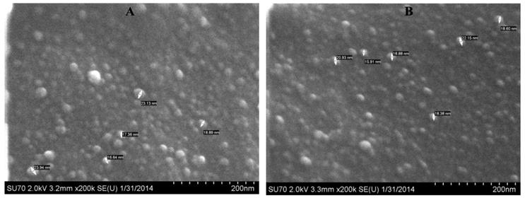 Theranostics Image