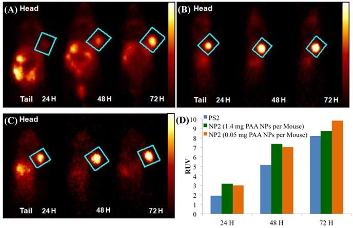 Theranostics Image