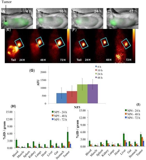 Theranostics Image