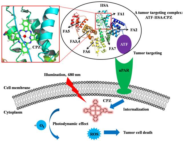 Theranostics Image