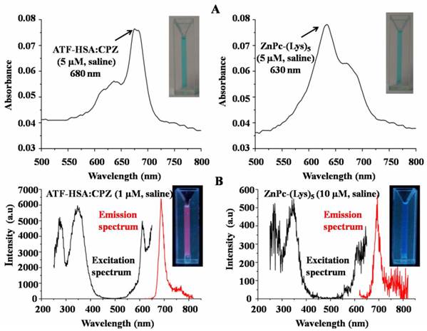 Theranostics Image