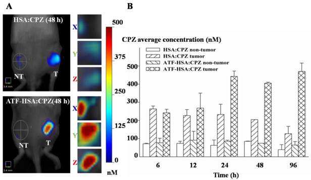 Theranostics Image