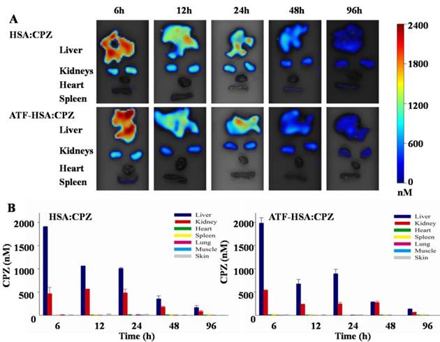 Theranostics Image