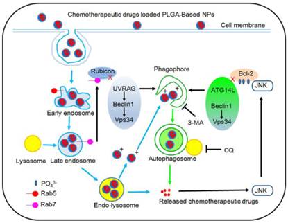 Theranostics Image