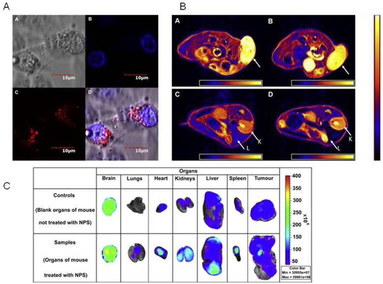 Theranostics Image