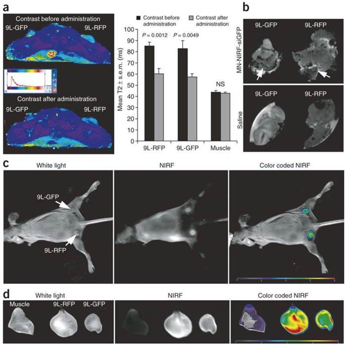 Theranostics Image