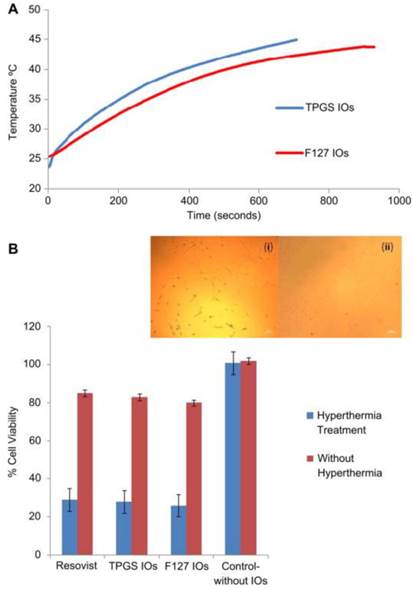 Theranostics Image