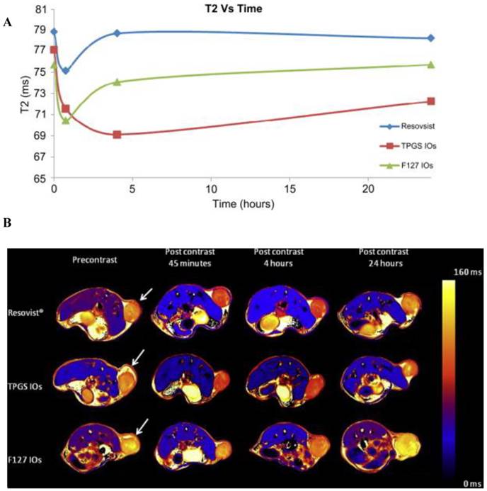 Theranostics Image