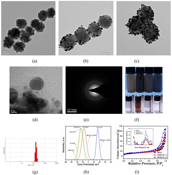 Theranostics Image