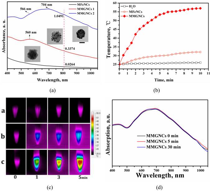 Theranostics Image