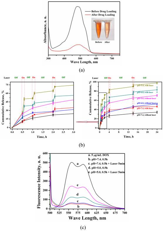 Theranostics Image