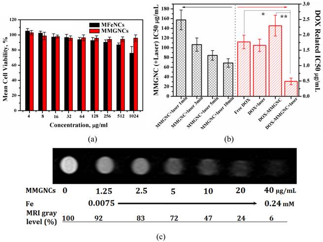 Theranostics Image