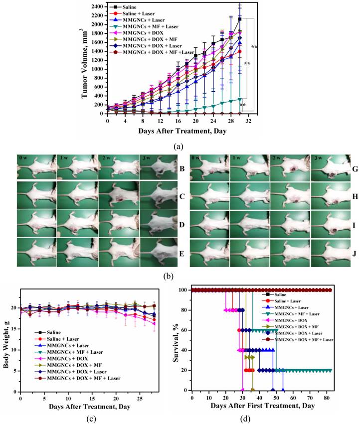 Theranostics Image