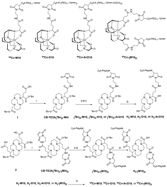 Theranostics Image