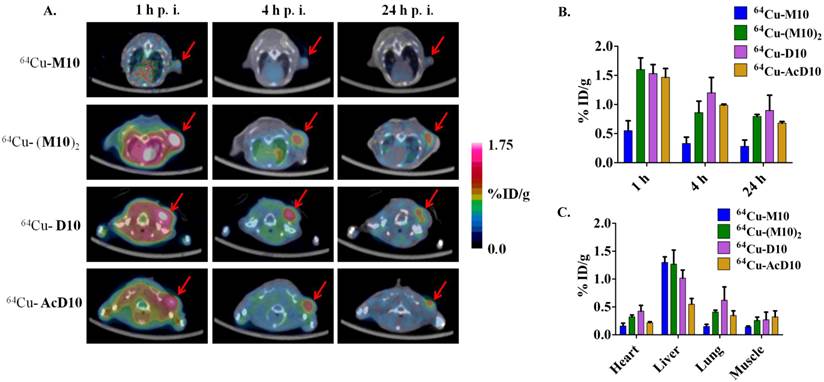 Theranostics Image