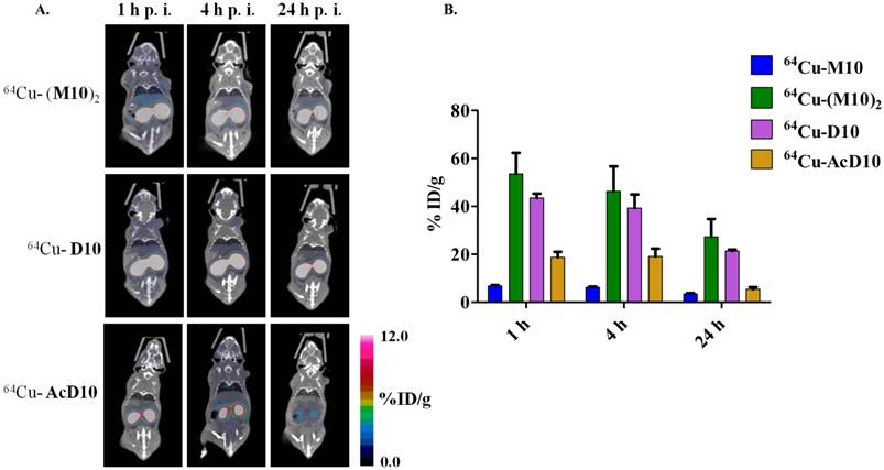 Theranostics Image