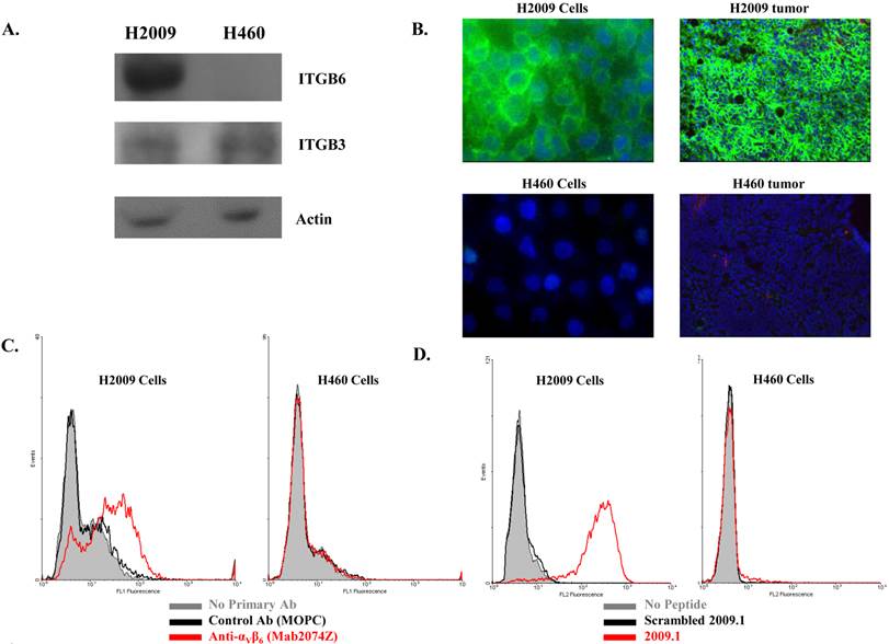 Theranostics Image