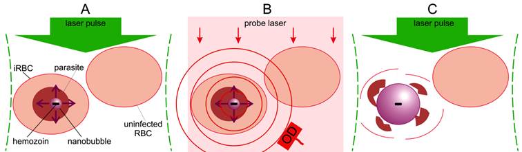 Theranostics Image