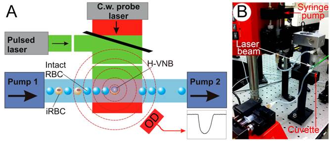 Theranostics Image