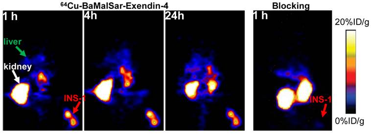 Theranostics Image