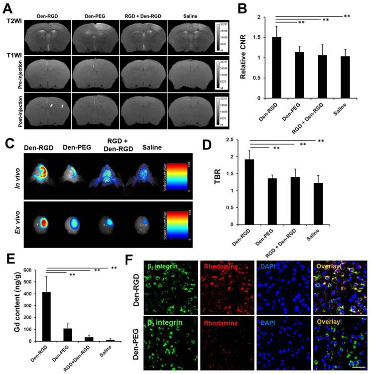 Theranostics Image