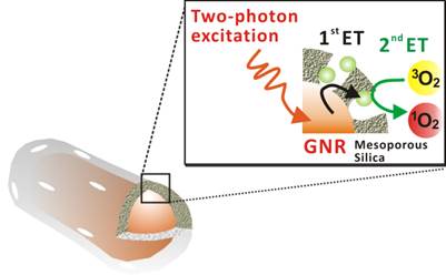 Theranostics Image