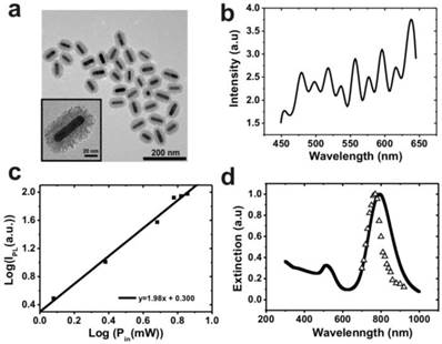 Theranostics Image