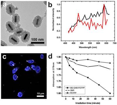 Theranostics Image