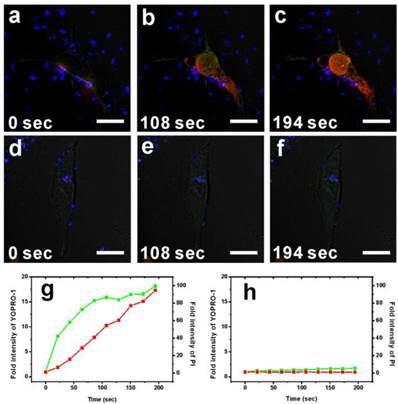 Theranostics Image