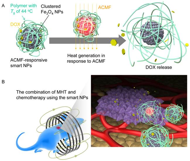 Theranostics Image