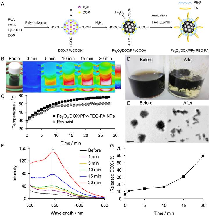 Theranostics Image