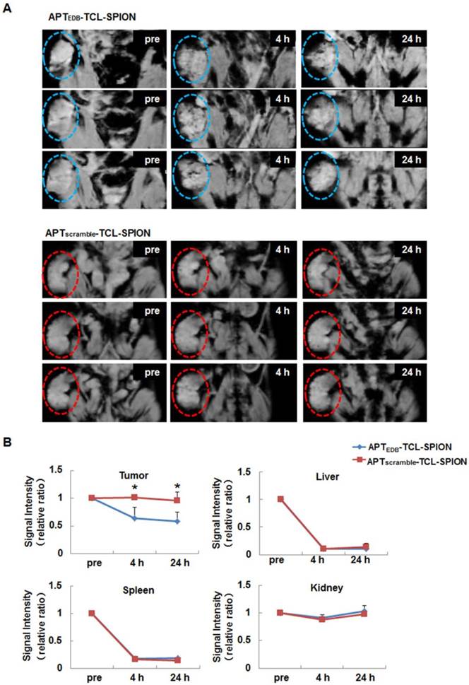 Theranostics Image