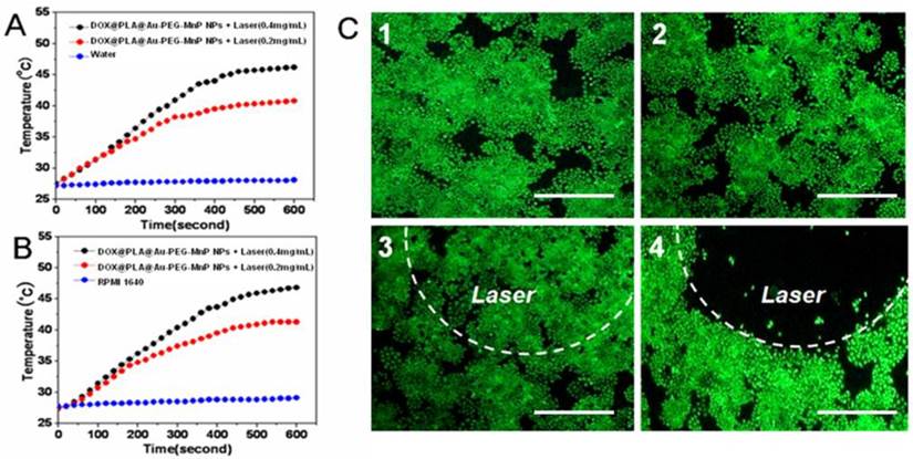 Theranostics Image