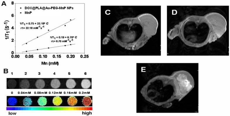 Theranostics Image