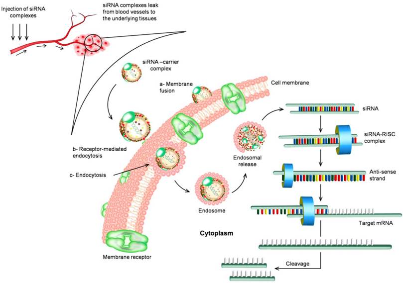 Theranostics Image