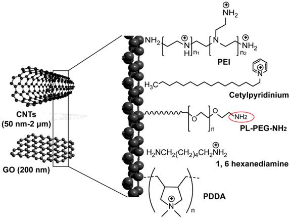 Theranostics Image