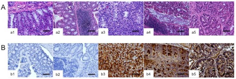 Theranostics Image