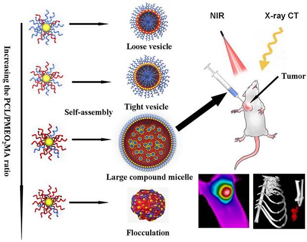 Theranostics Image