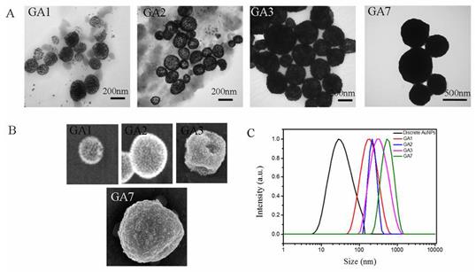 Theranostics Image