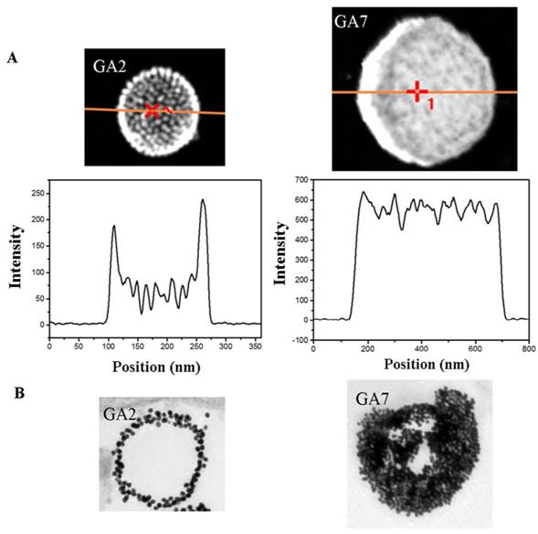 Theranostics Image