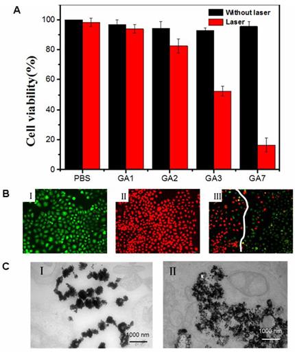 Theranostics Image