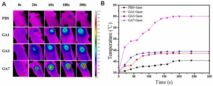 Theranostics Image