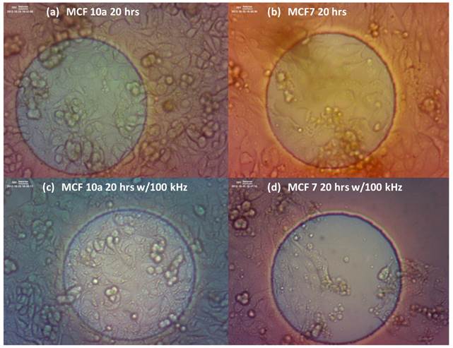 Theranostics Image