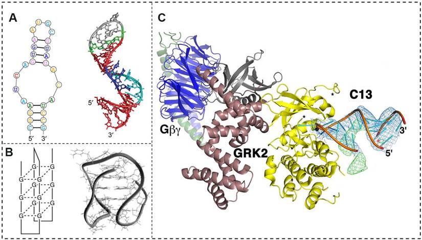 Theranostics Image