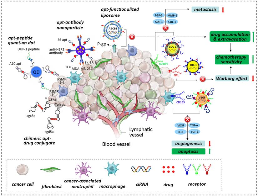 Theranostics Image