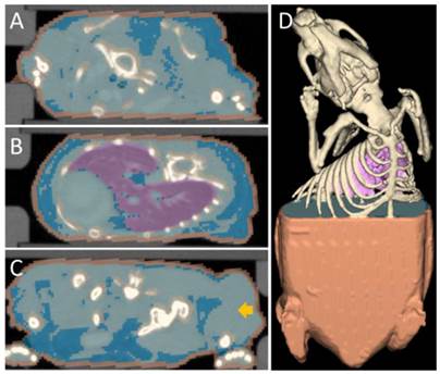 Theranostics Image